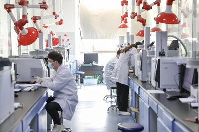 技术咨询 问题解决与专业服务指南