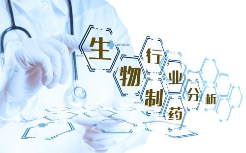 技术咨询服务