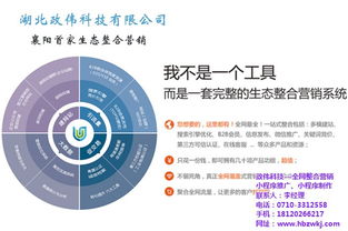 湖北政伟科技赋能中小企业 易站通网络营销全解析与服务升级